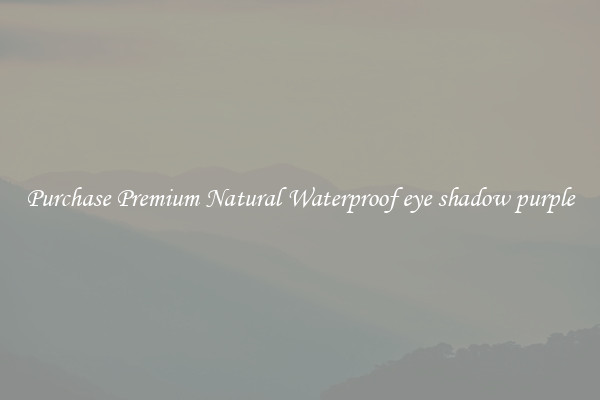 Purchase Premium Natural Waterproof eye shadow purple