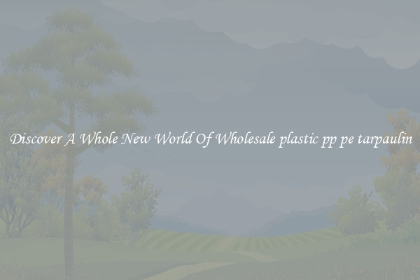 Discover A Whole New World Of Wholesale plastic pp pe tarpaulin