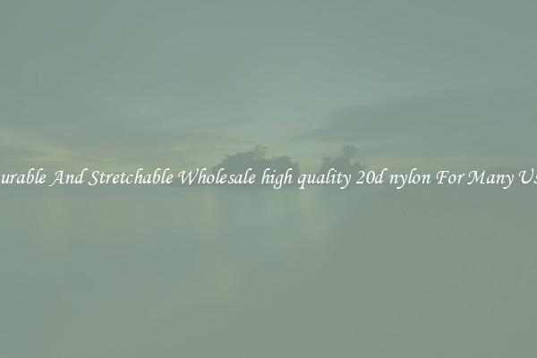 Durable And Stretchable Wholesale high quality 20d nylon For Many Uses