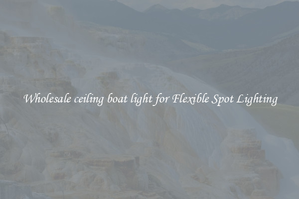 Wholesale ceiling boat light for Flexible Spot Lighting
