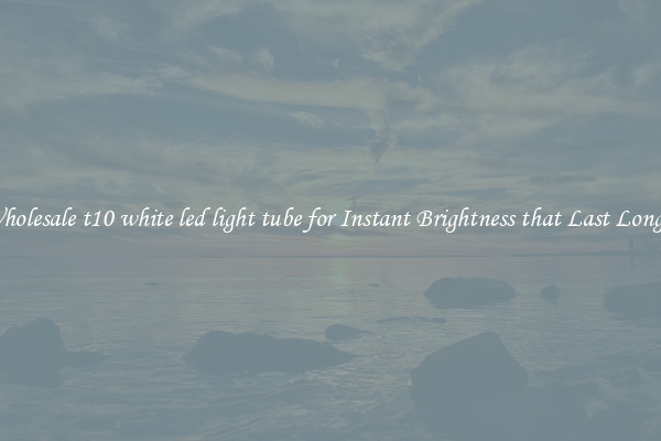 Wholesale t10 white led light tube for Instant Brightness that Last Longer