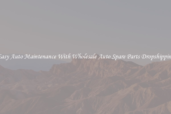 Easy Auto Maintenance With Wholesale Auto Spare Parts Dropshipping