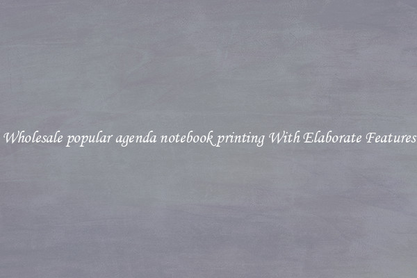 Wholesale popular agenda notebook printing With Elaborate Features