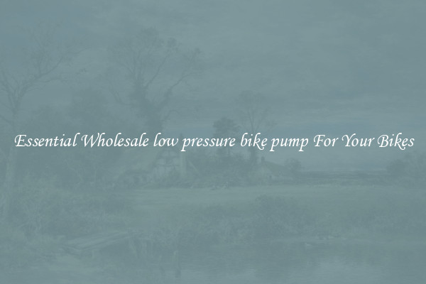 Essential Wholesale low pressure bike pump For Your Bikes