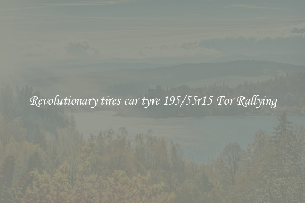 Revolutionary tires car tyre 195/55r15 For Rallying