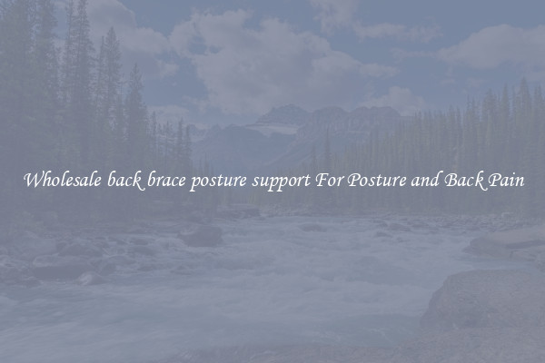 Wholesale back brace posture support For Posture and Back Pain