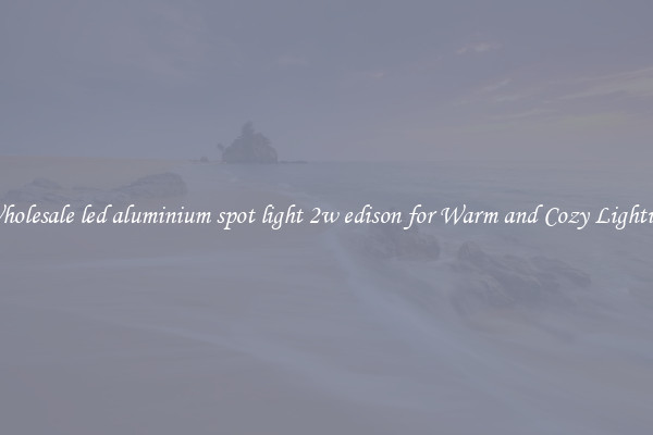 Wholesale led aluminium spot light 2w edison for Warm and Cozy Lighting