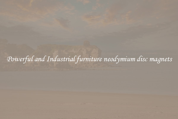 Powerful and Industrial furniture neodymium disc magnets