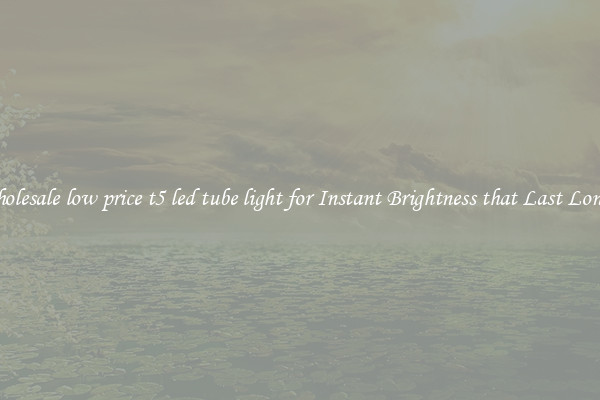 Wholesale low price t5 led tube light for Instant Brightness that Last Longer