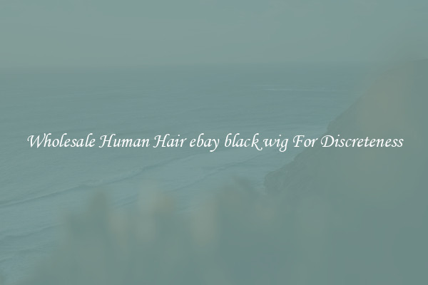 Wholesale Human Hair ebay black wig For Discreteness