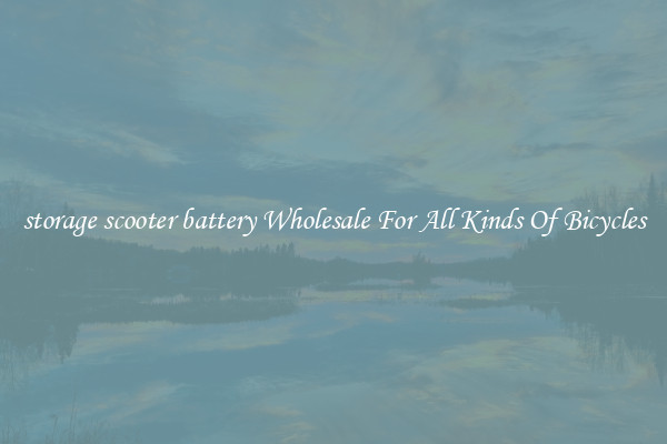 storage scooter battery Wholesale For All Kinds Of Bicycles