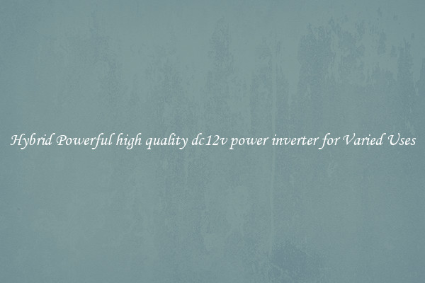 Hybrid Powerful high quality dc12v power inverter for Varied Uses