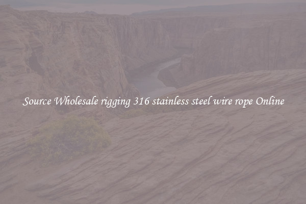 Source Wholesale rigging 316 stainless steel wire rope Online