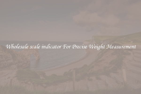 Wholesale scale indicator For Precise Weight Measurement