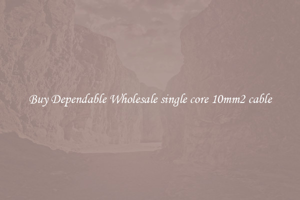 Buy Dependable Wholesale single core 10mm2 cable