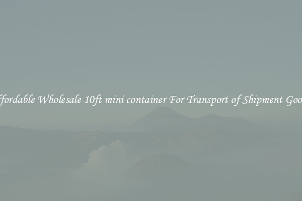 Affordable Wholesale 10ft mini container For Transport of Shipment Goods 