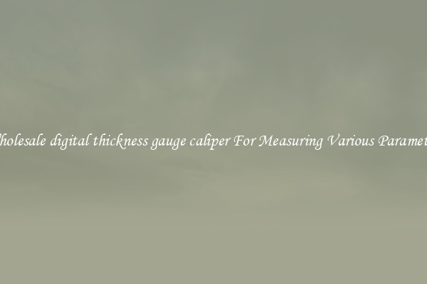 Wholesale digital thickness gauge caliper For Measuring Various Parameters