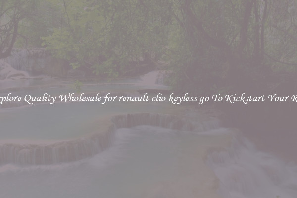 Explore Quality Wholesale for renault clio keyless go To Kickstart Your Ride