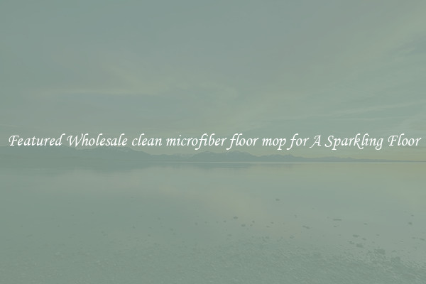 Featured Wholesale clean microfiber floor mop for A Sparkling Floor