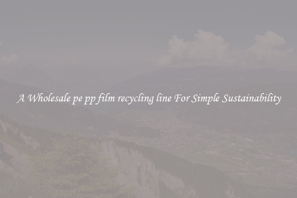  A Wholesale pe pp film recycling line For Simple Sustainability 