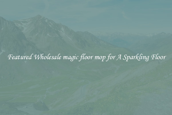 Featured Wholesale magic floor mop for A Sparkling Floor