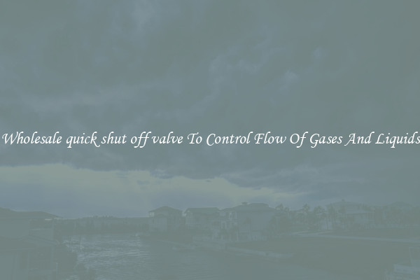 Wholesale quick shut off valve To Control Flow Of Gases And Liquids